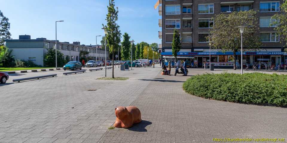Rotterdam - Schildpad, kip en katten