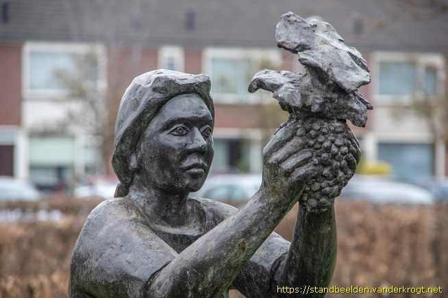 's-Gravenzande - Druivenkrentster