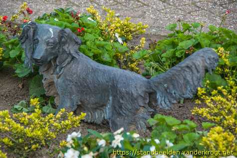 Zoeterwoude-Rijndijk - Kooikerhondje met eenden