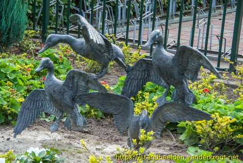 Zoeterwoude-Rijndijk - Kooikerhondje met eenden