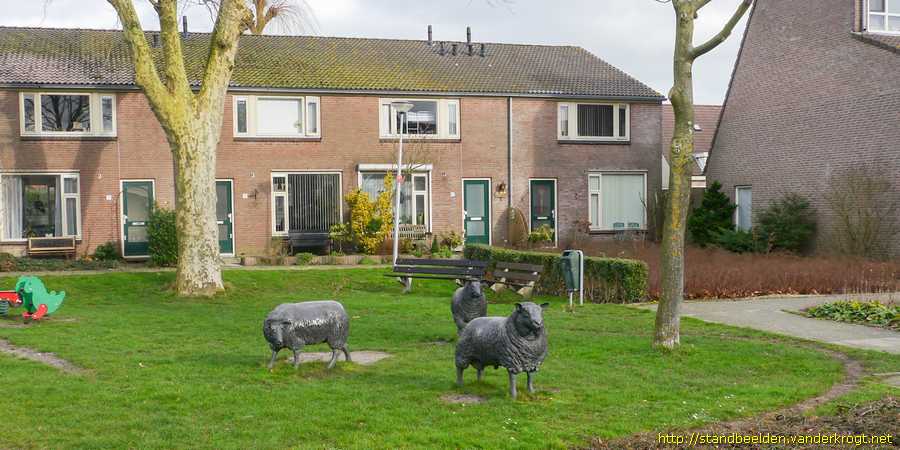 Zoeterwoude-Rijndijk - Schapen