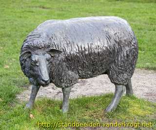 Zoeterwoude-Rijndijk - Schapen