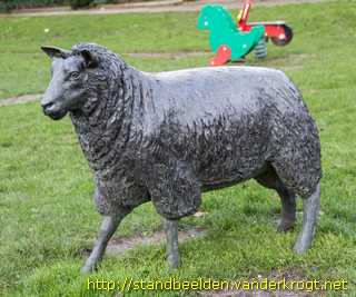 Zoeterwoude-Rijndijk - Schapen