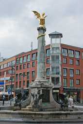 Bosch van Drakesteinfontein, 's-Hertogenbosch
