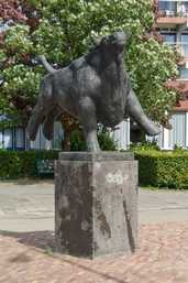 Stier, Alphen aan den Rijn