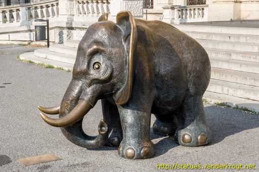 Wien /  Elefant