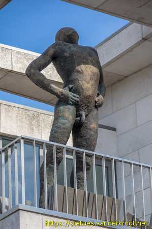 Geel /  Grote Man