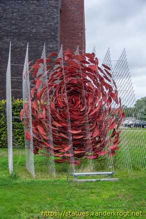 Maaseik /  Stille Roos