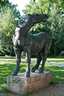 Wildes Pferd
