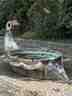 Ente-Brunnen