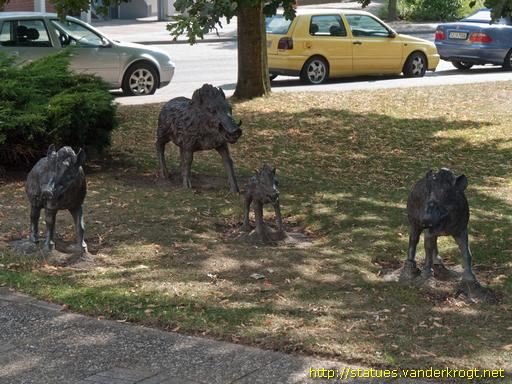 Salzgitter-Bad /  Vier Wildschweine