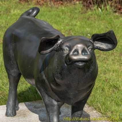 Eidewarden /  Dedesdorfer Schwein