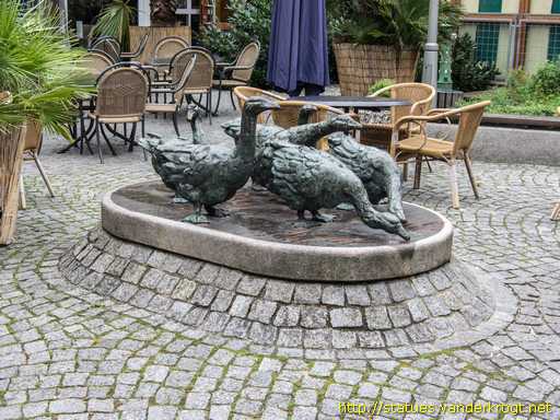 Diepholz /  Diepholzer Gänse