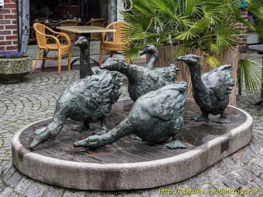 Diepholz /  Diepholzer Gänse