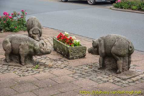 Rinteln /  Schweine-Gruppe