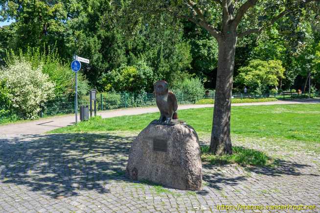 Peine /  Peiner Eule