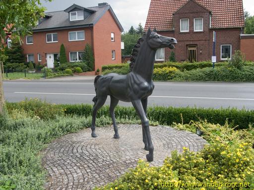 Warendorf /  Pferd
