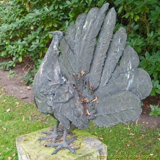 Coesfeld /  Pfau