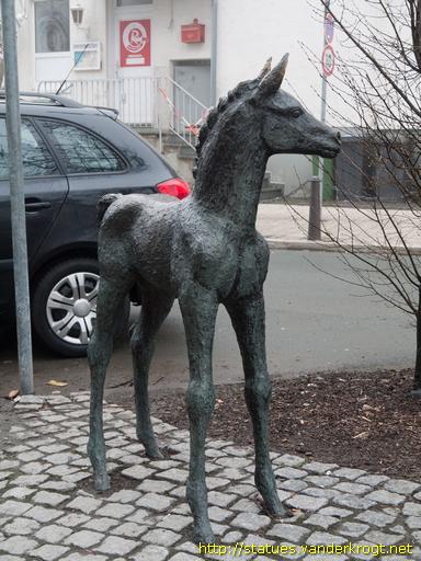 Winterberg /  Fohlen