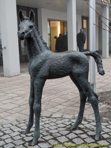 Winterberg /  Fohlen