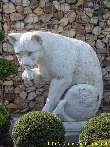 Bad Salzuflen / Katze