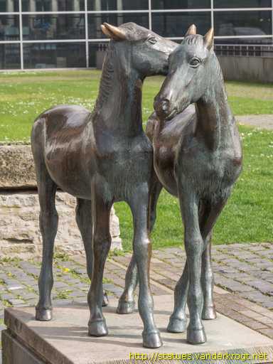 Detmold /  Junge Pferde