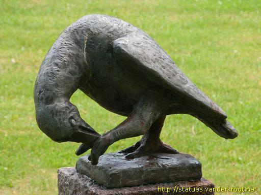 Aabenraa /  Papegøje