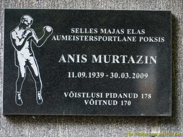 Tallinn /  Anis Murtazin