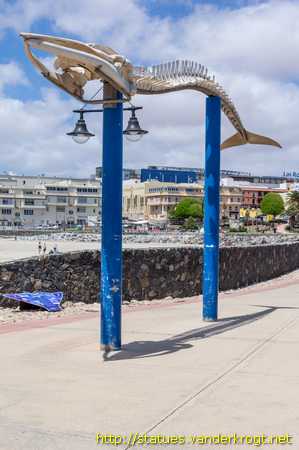Puerto del Rosario /  Esqueleto de un rorcual tropical