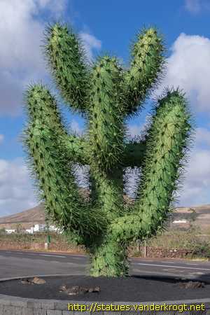 Guatiza / Cactus