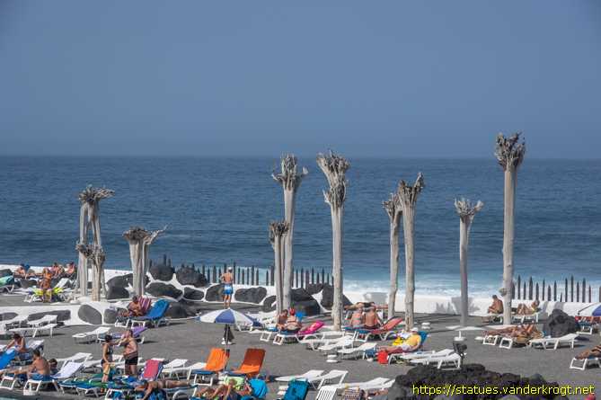 Puerto de la Cruz /  Raíces al viento