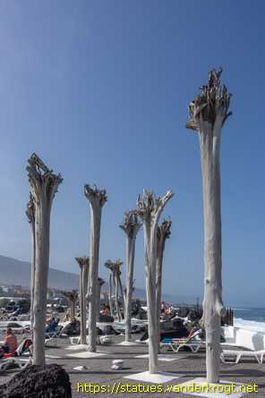 Puerto de la Cruz /  Raíces al viento