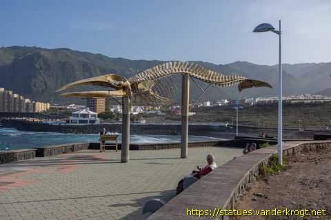 Los Silos /  Esqueleto de un rorcual tropical