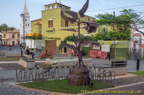 Los Silos /  El Bicácaro