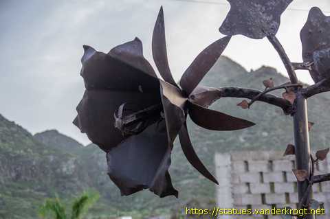 Los Silos /  El Bicácaro