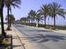 Avenida de América