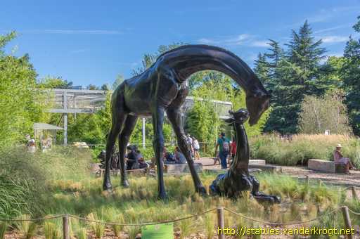 Lyon /  Girafe et Girafon