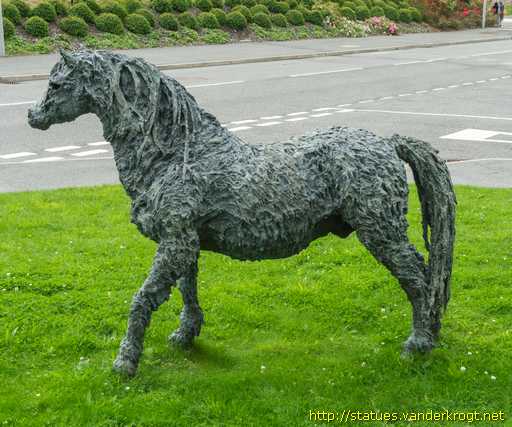 Llandudno Junction - Cyffordd Llandudno /  Welsh Mountain Pony - Merlyn Mynydd Cymreig