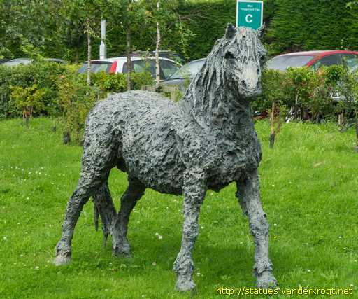 Llandudno Junction - Cyffordd Llandudno /  Welsh Mountain Pony - Merlyn Mynydd Cymreig