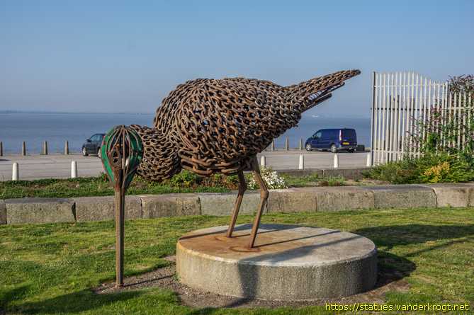Hull /  ReBar Godwit