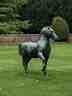 Bronze Horse