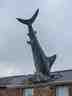 The Headington Shark