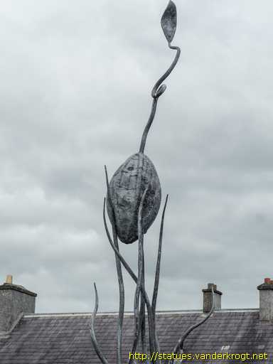 Tuam - Tuaim /  Presentation Tuam T.Y.