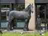 Barge Horse