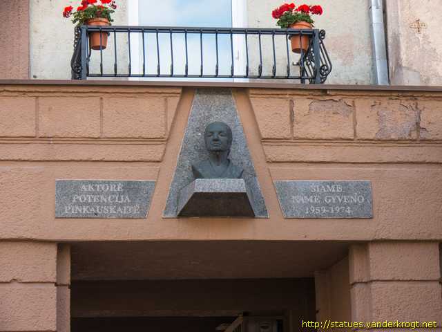 Šiauliai /  Potencija Pinkauskaitė