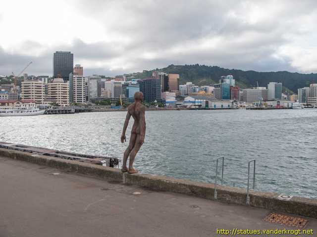 Wellington /  Solace in the wind