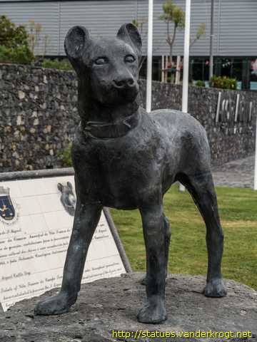 Vila Franco do Campo /  Cão de Fila de São Miguel