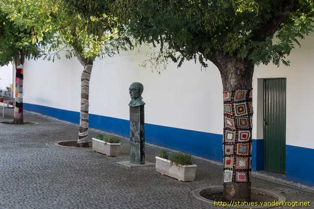 Verdinho /  José Perdigão Rosado de Carvalho
