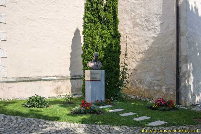 Novo mesto /  Anton Vovk