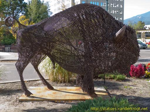Colorado Springs /  American Bison